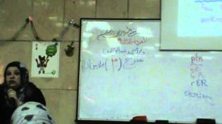 Dr. Gihan digestive 9- part 2