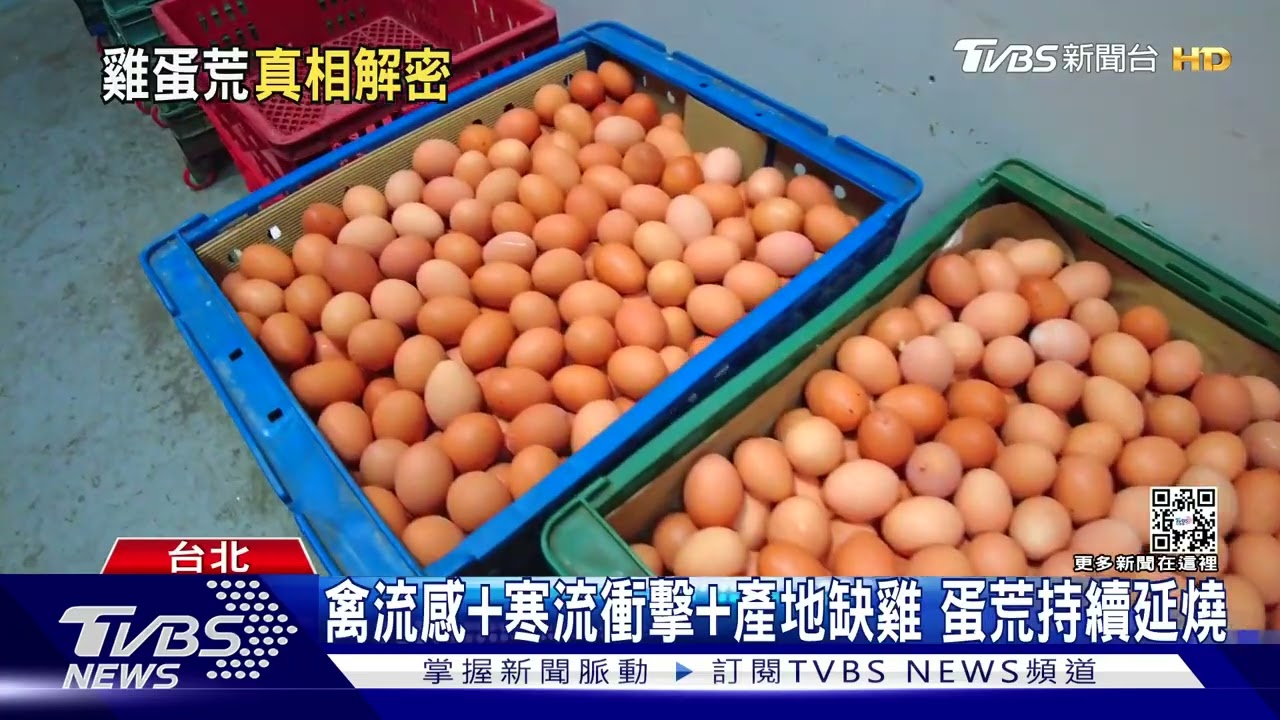 缺蛋之島!?蛋荒真相解密 政府該做的是「這個」