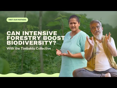 Can intensive forestry boost biodiversity? Meet the Timbaktu Collective