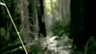 John Butler Trio - Treat Yo Mama