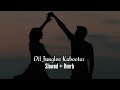 Dil Junglee Kabootar Udit Narayan Sadhana Sargam Qahar 1997 Songs Lo Fi Slowed Reverb Viral