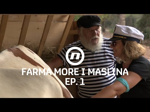 Upoznavanje s Rumenkom - Epizoda 1 | Farma More i Maslina