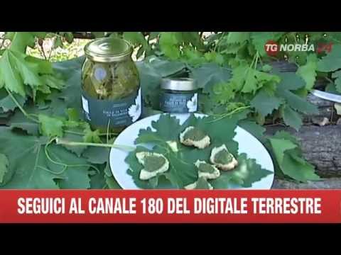 Quali vitamine sono necessari per il mal di schiena Riabilitazione dopo lintervento chirurgico sul dellanca