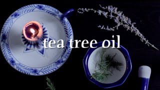preview picture of video 'ASMR | All About Essential Oils: Tea Tree'