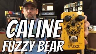 Video thumbnail for Caline Fuzzy Bear Demo by Ben Coombs