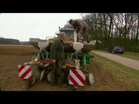 ATTRACAP® - Effektive Drahtwurmbekämpfung in der Praxis