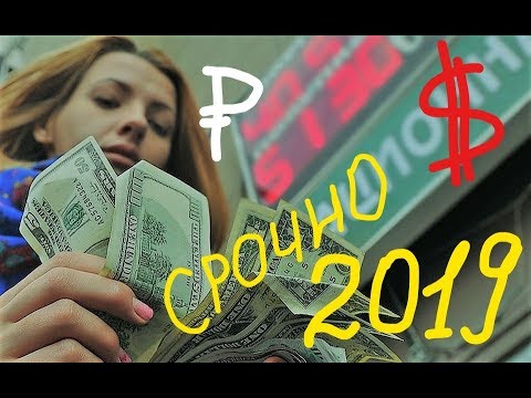 Прогноз курса доллара и рубля на 2019 год в России