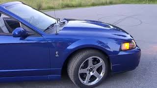 2003 Ford Mustang SVT Cobra Walkaround