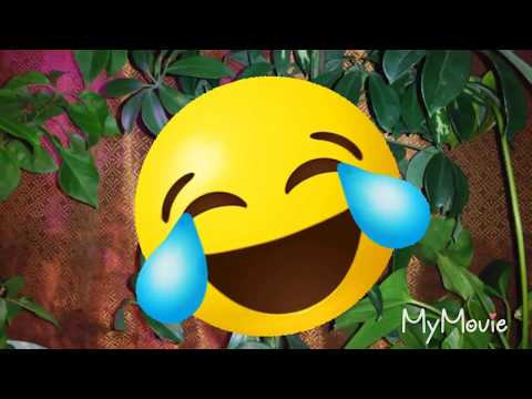 🔴Дерево ручная работа ✔Декор ✔припараты Завязь. Жарден часть 1