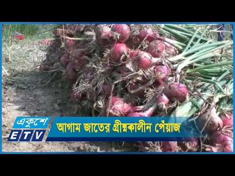 বাজারে আসতে শুরু করেছে আগাম জাতের গ্রীষ্মকালীন পেঁয়াজ