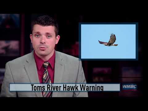 Toms River Hawk River Warning
