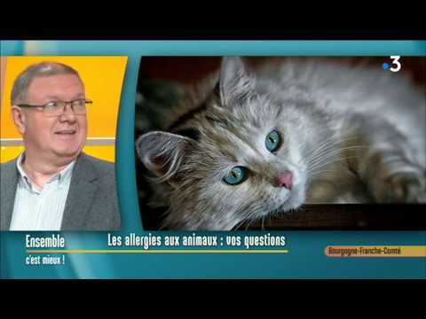 La question des allergies aux poils d’animaux avec un allergologue