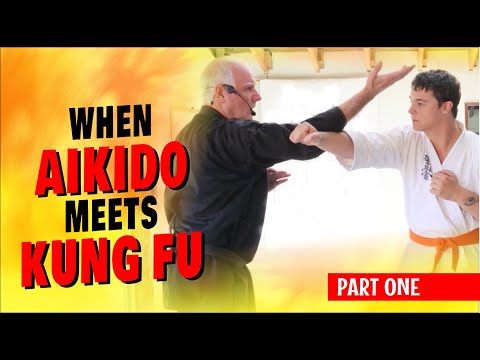 When AIKIDO Meets KUNG FU (Part One)