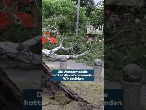 BERLIN: Heftiger Sturm wütet! Zwei Tote und mehrere Schwerverletzte #shorts #berlin #welt