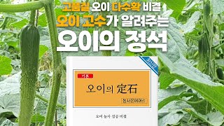 고품질 오이 다수확을 위한 가장 확실한 방법! 오이의 정석