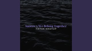 Snooze x We Belong Together (TikTok Mashup)