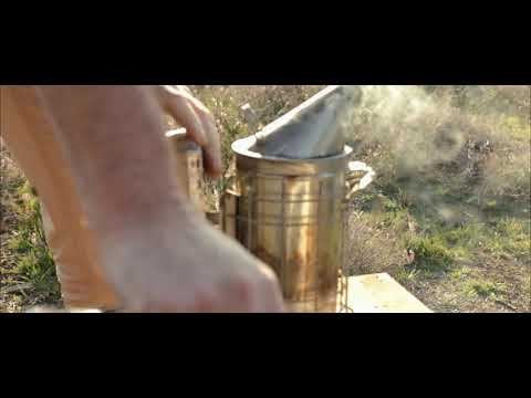 Heidehoning: Goud van de Veluwe (trailer)