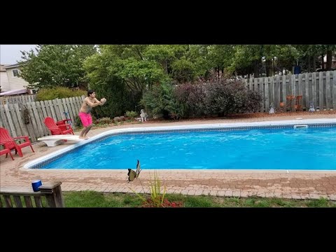 69 Braidwood Lake Rd Brampton, ON L6Z 1R6 Neil McIntyre Your Home Sold Guaranteed Detached Home4Sale