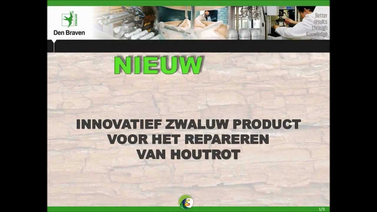 productvideo Zwaluw Repox Fast 2-component 250ml
