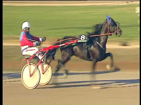 Trotto 29/12/2017 - 1ª corsa