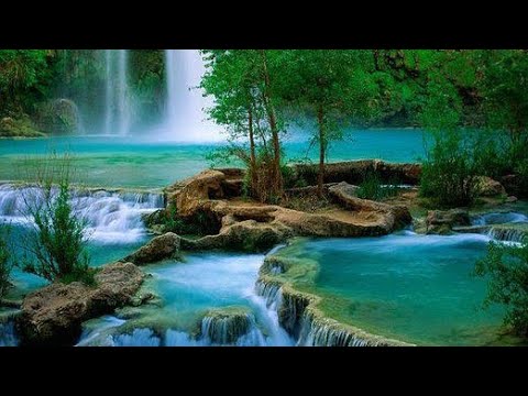 pexels natural video 4623.mp4