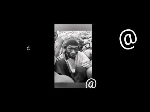 Gracjan_CWN - Malp@ feat. Remi -Scratch LaikTheScratchkiller - Prod. Remi