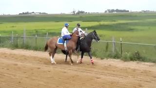 LA BESTIA VS EL PAYASO 425 YARDAS AGOSTO  8-2015