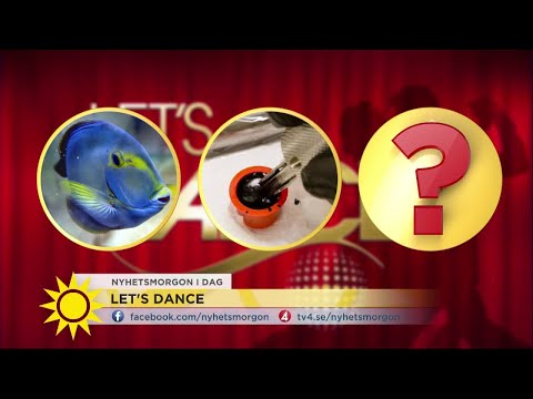Ledtråd nummer 2: Vem är nästa deltagare i Let''s dance? - Nyhetsmorgon (TV4)