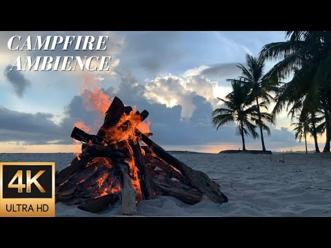 4K Beach Campfire Ambience on a Palm Lined, White Sand Beach - Relaxing Fire and Nature Sounds