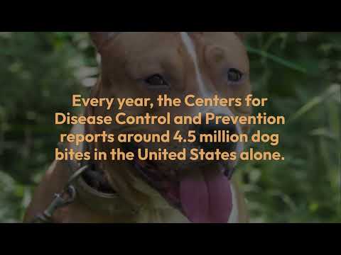 Dog Bites vs Shark Attacks: Which is More Dangerous? | 844-MALMLEGAL | Top Dog Bite Attorneys in IL