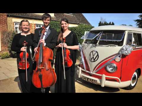 Vyne String Trio Viva la Vida