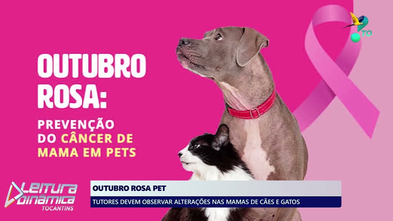 06 de Outubro – Terça