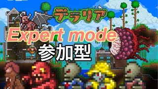 【参加型】【Terraria】大型アップデートにむけて！
