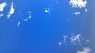 お願い 【なんでも良いは出来るだけ辞めて頂きたいです！(*' ')*, ,)✨ﾍﾟｺﾘ】