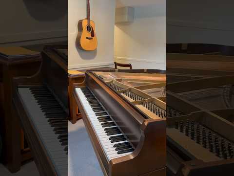 Fixing a loud Buzz In a Grand Piano