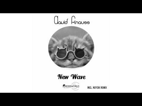 David Knauss - New Wave (Original Mix)