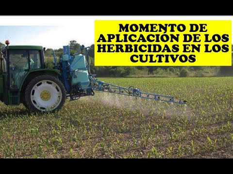 , title : 'CUANDO SE DEBE APLICAR UN HERBICIDA EN EL CULTIVO | AGRONOMIA | AGRICULTURA'