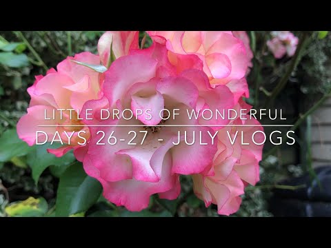 Days 26 and 27 - July Vlogs - Little Drops of Wonderful