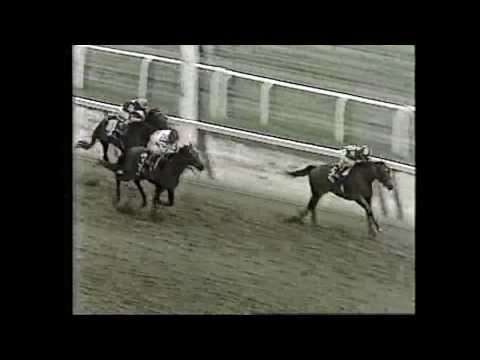 SUMMING - BELMONT STAKES 1981