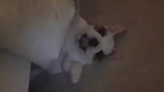 It Gets Me Going by Spymob ft Rockson Ocampo