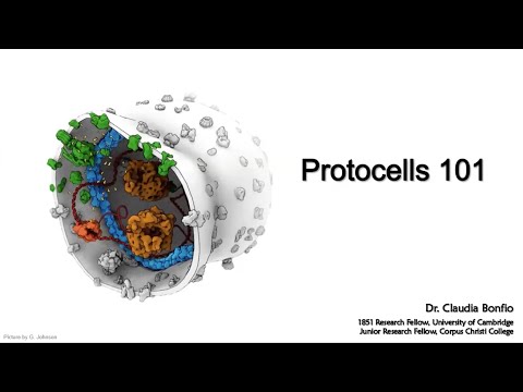 Protocells 101