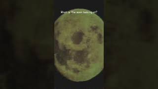 Moon Viewing 疑似夢 #Shorts #LSD #backrooms #LiminalSpace