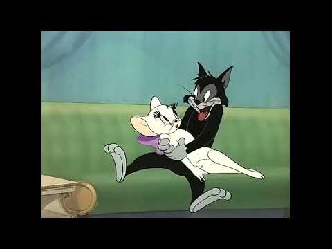 Tom and Jerry - "Casanova Cat" Best Moments.