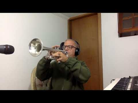 Hino 445   Ajuntemos um tesouro eterno