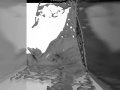 REALFLOW 5 Flood HYBRIDO 3ds Max 320 000