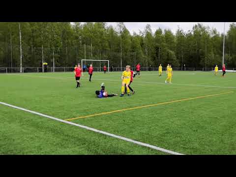 P13 MS 2019 Tervarit - OLS 2. jakso