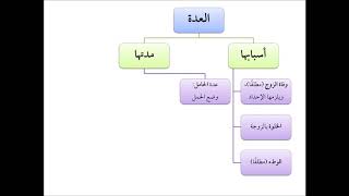 صورة فقه الأسرة (31) العدة - عامر بهجت - التأهيل الفقهي