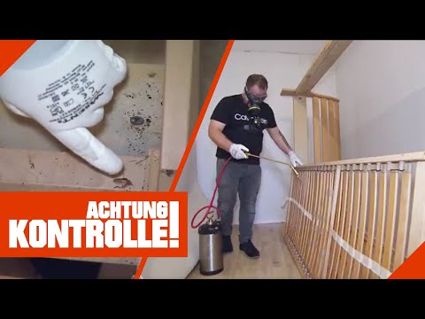 Gift in der ganzen Wohnung? Bettwanzen Ade! | 2/2 | Kabel Eins | Achtung Kontrolle