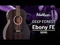 Washburn Deep Forest Ebony FE Demo