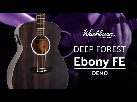 Washburn Deep Forest Ebony FE Demo